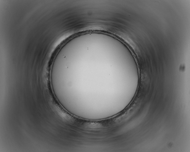 X0000101681119200807241339