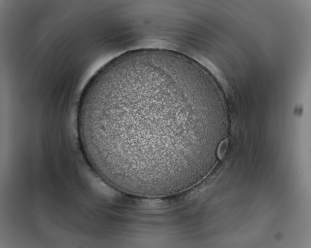 X0000101681120200807241339