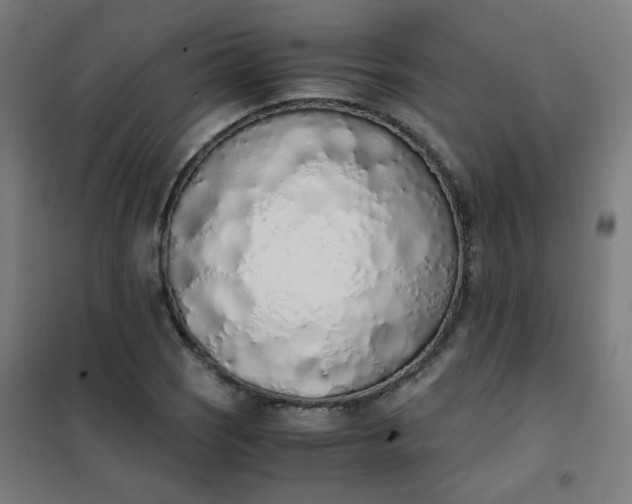 X0000101681121200807241339