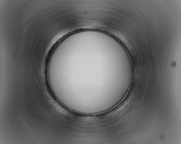 X0000101681122200807241339