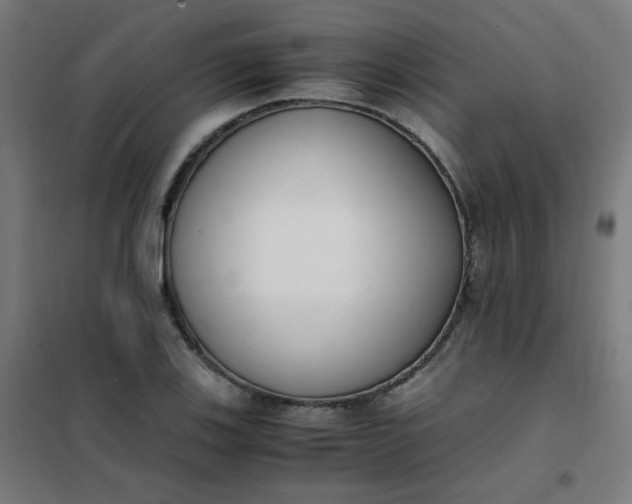 X0000101681123200807241339