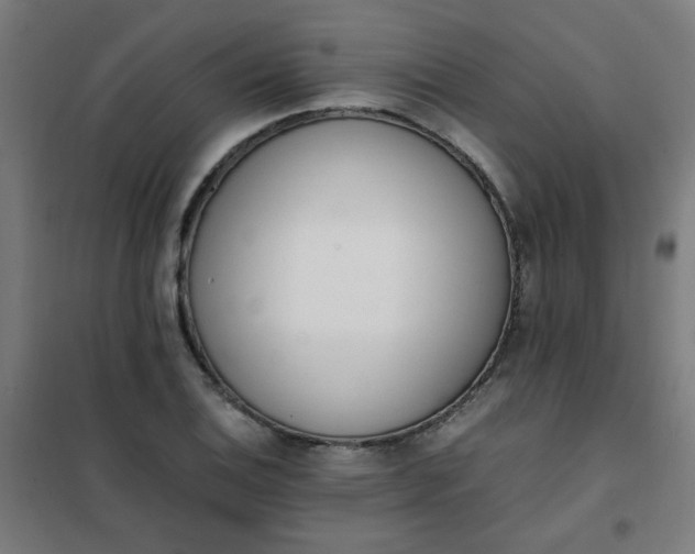 X0000101681124200807241339