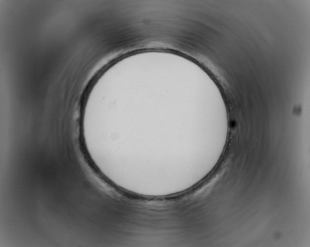 X0000101681126200807241339