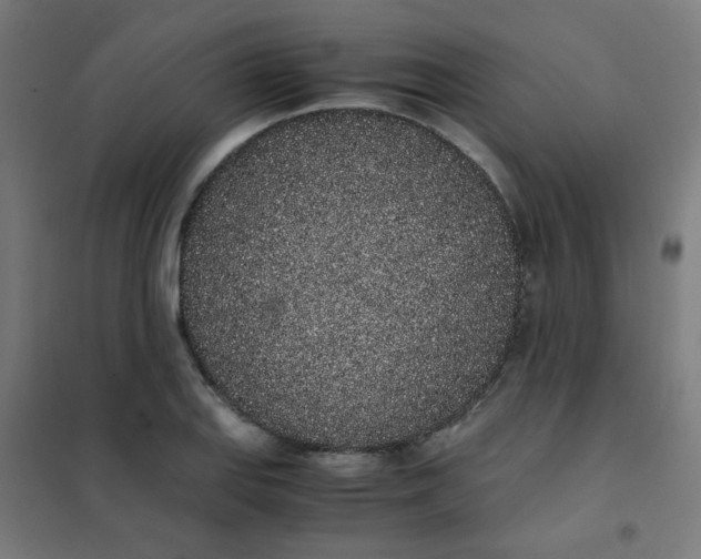 X0000101681127200807241339