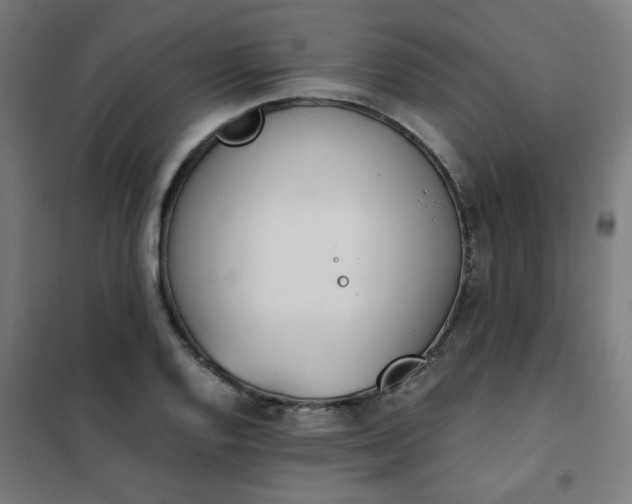 X0000101681128200807241339