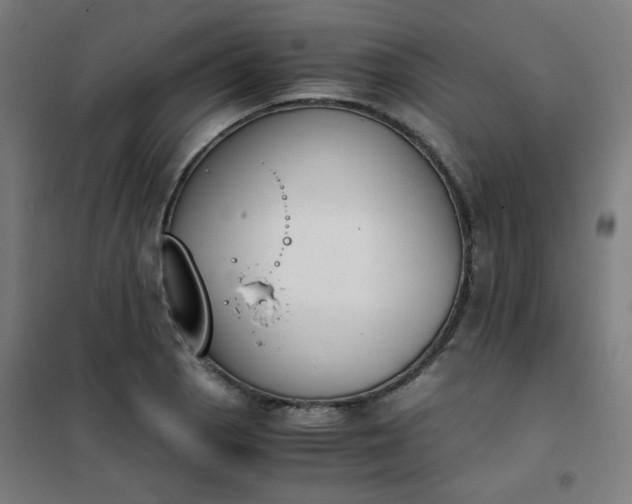 X0000101681129200807241339