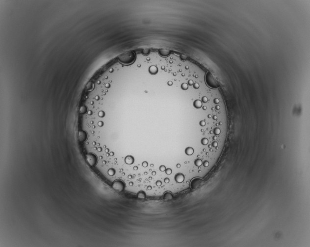 X0000101681130200807241339