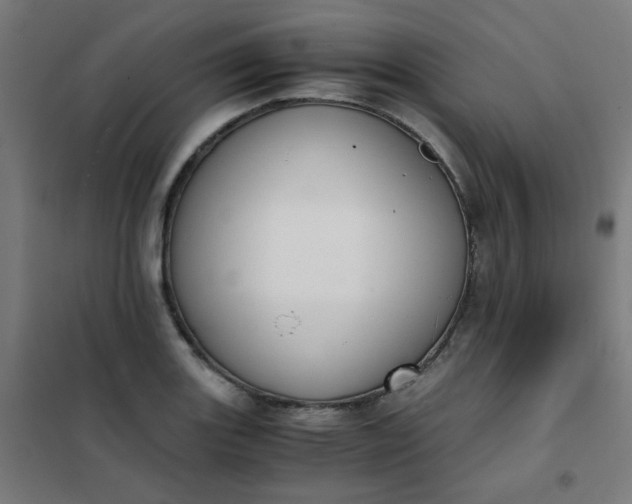 X0000101681131200807241339