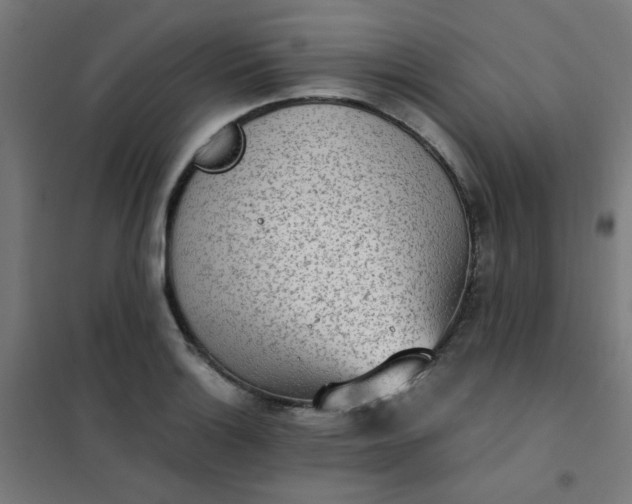 X0000101681132200807241339