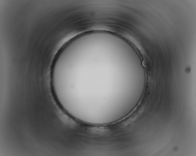 X0000101681133200807241339