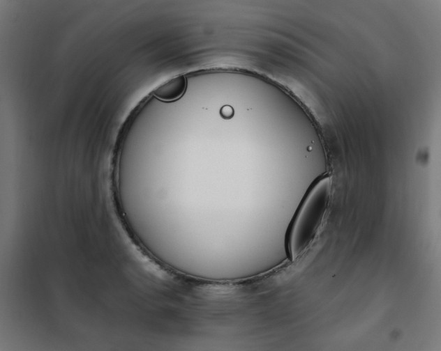 X0000101681134200807241339