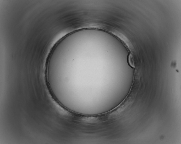 X0000101681135200807241339