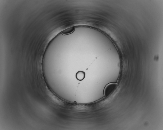 X0000101681137200807241339