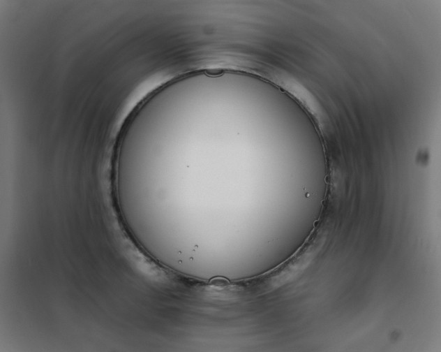 X0000101681138200807241339