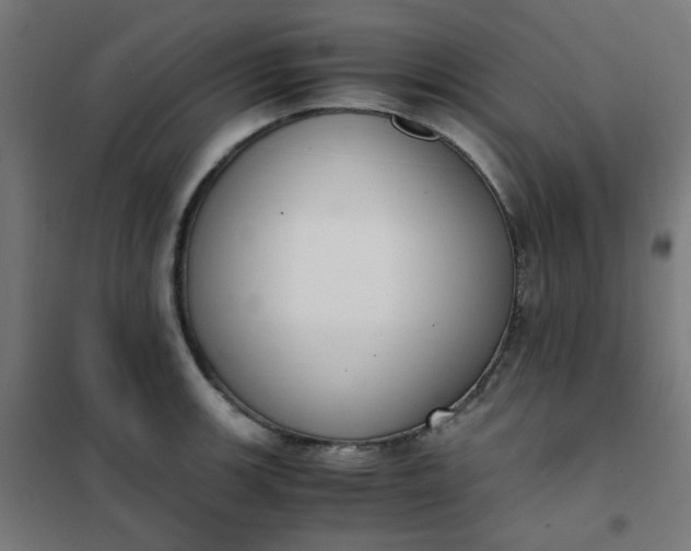 X0000101681139200807241339