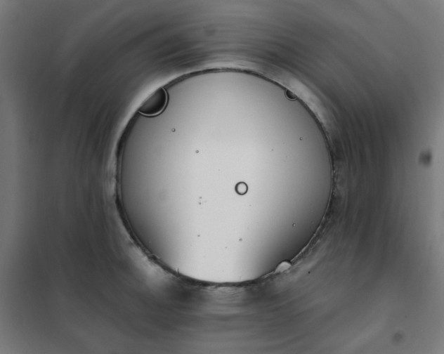 X0000101681140200807241339