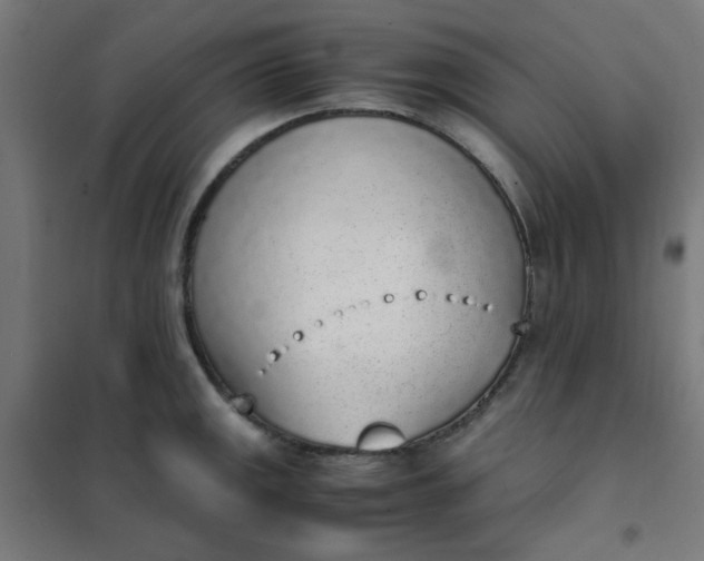 X0000101681141200807241339