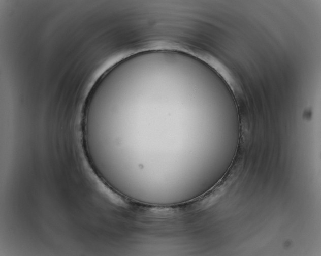 X0000101681142200807241339