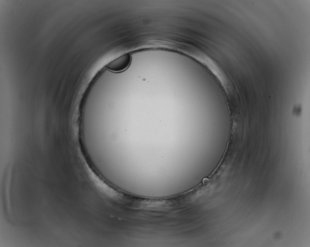 X0000101681143200807241339