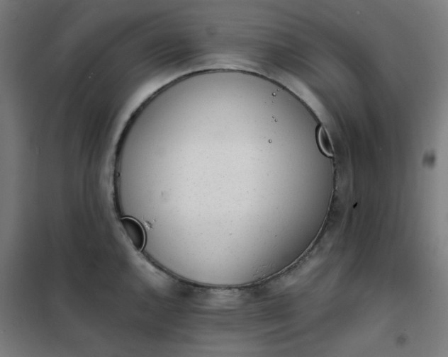 X0000101681144200807241339