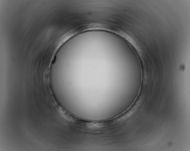 X0000101681145200807241339