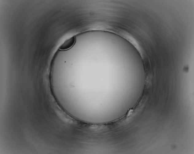 X0000101681146200807241339