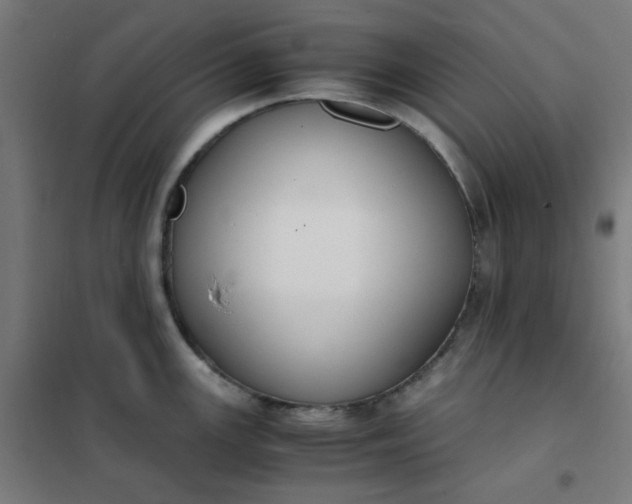 X0000101681147200807241339