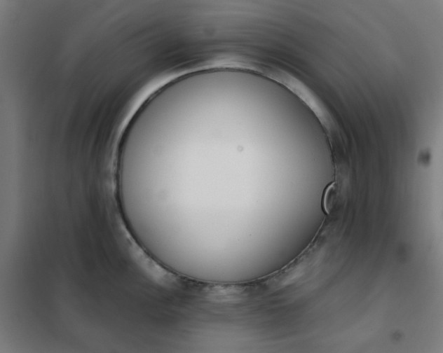 X0000101681148200807241339