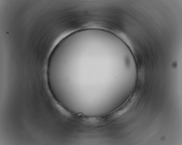 X0000101681149200807241339