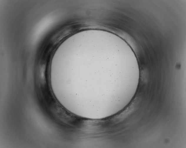 X0000101681150200807241339