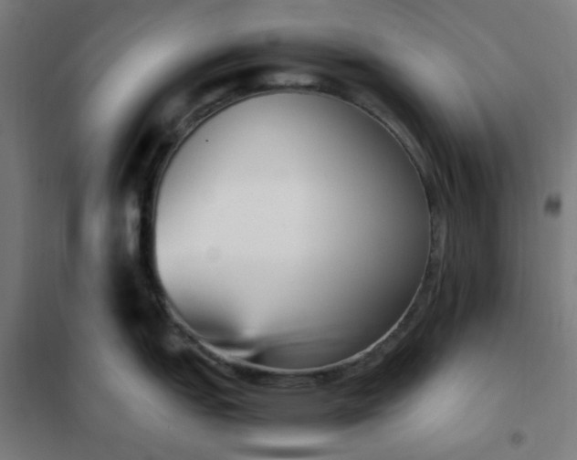 X0000101681151200807241339