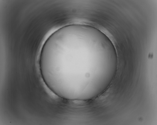 X0000101681152200807241339