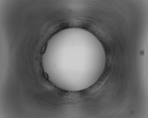 X0000101681153200807241339