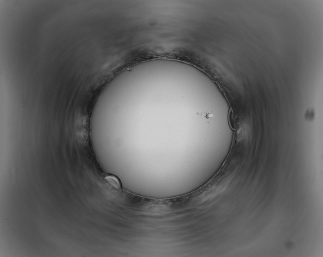 X0000101681156200807241339