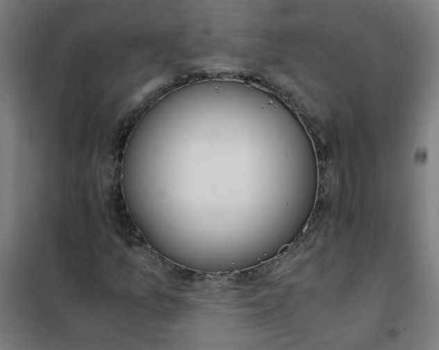 X0000101681157200807241339