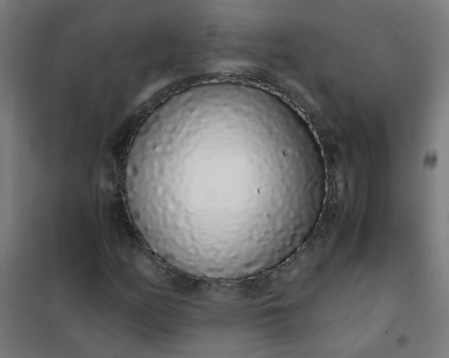 X0000101681158200807241339