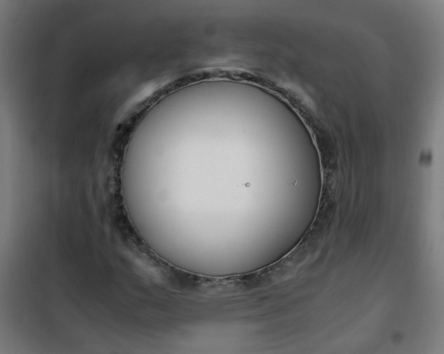 X0000101681159200807241339