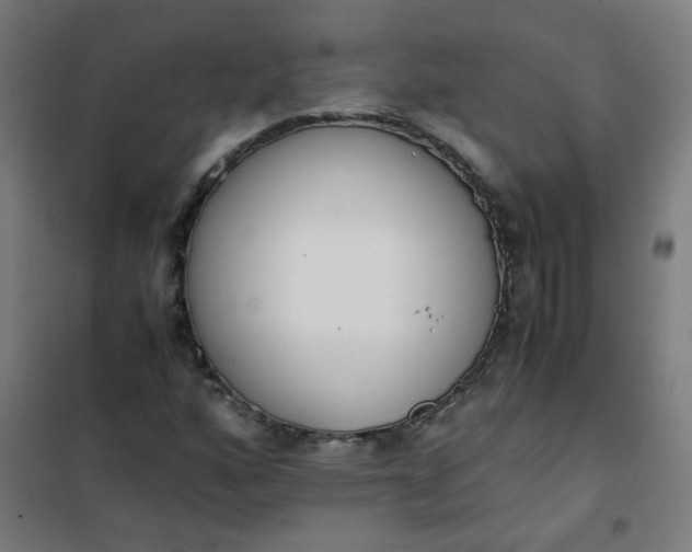 X0000101681160200807241338