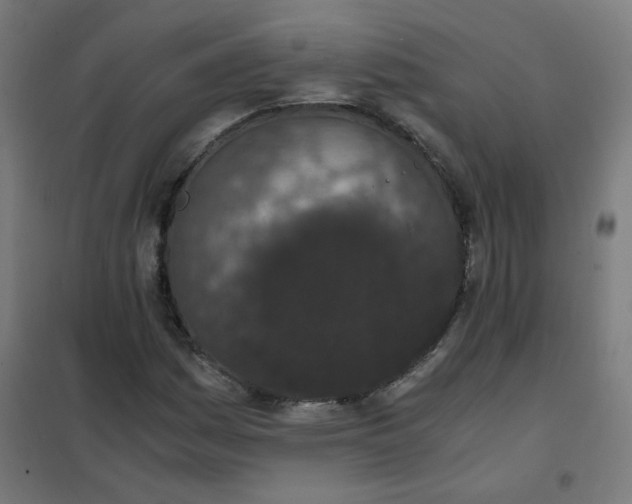 X0000101681161200807241338