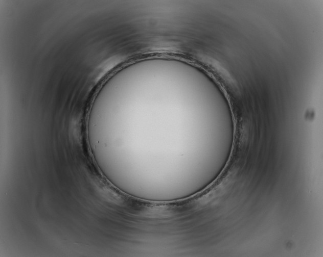 X0000101681162200807241338