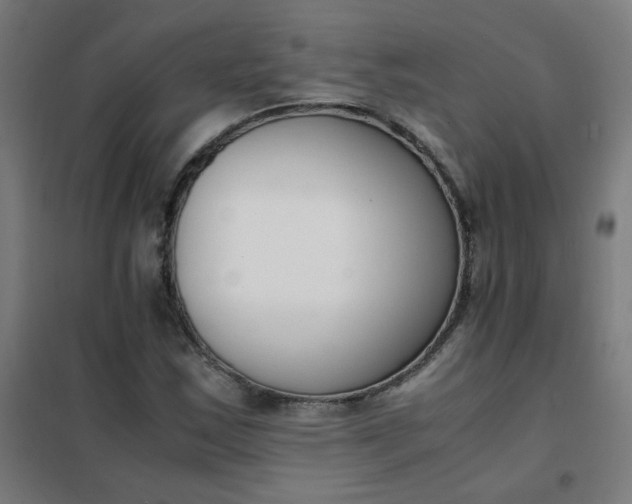 X0000101681163200807241338