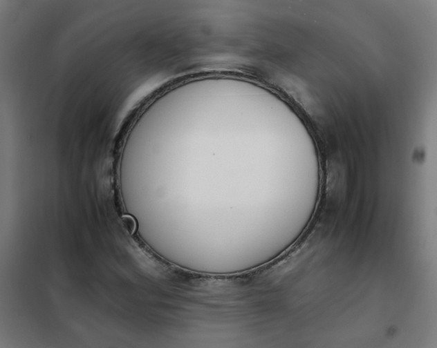 X0000101681164200807241338