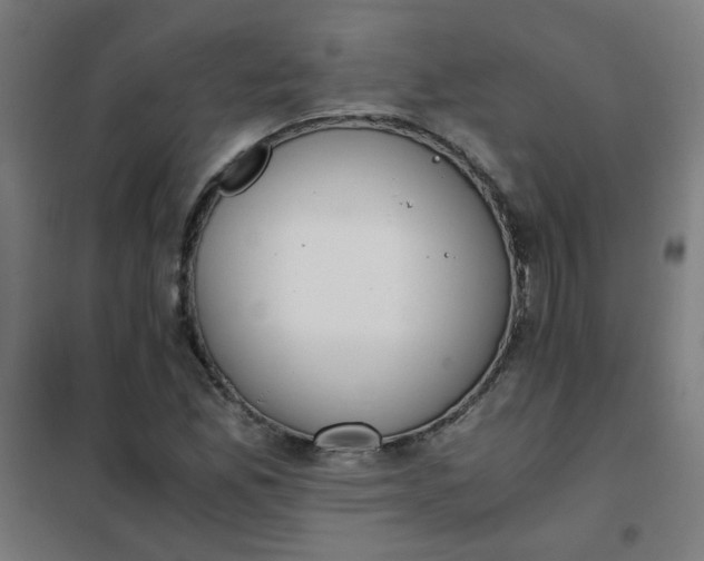 X0000101681165200807241338