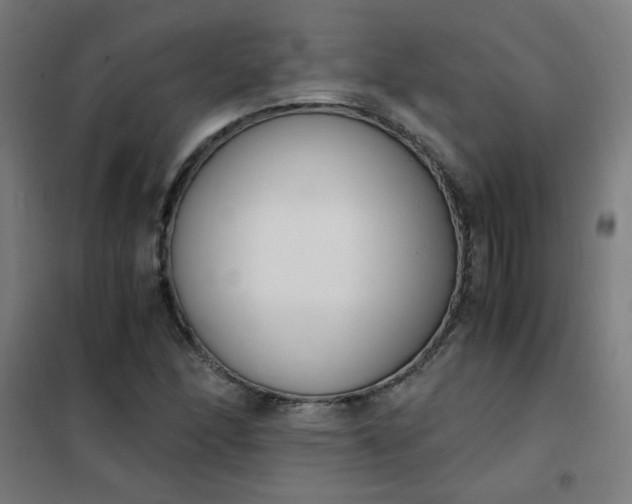 X0000101681166200807241338