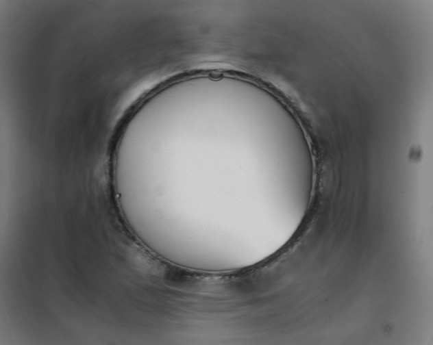 X0000101681167200807241338