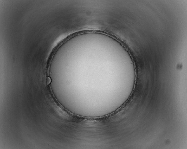 X0000101681168200807241338