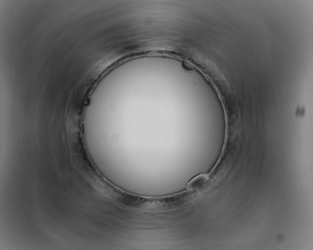 X0000101681169200807241338