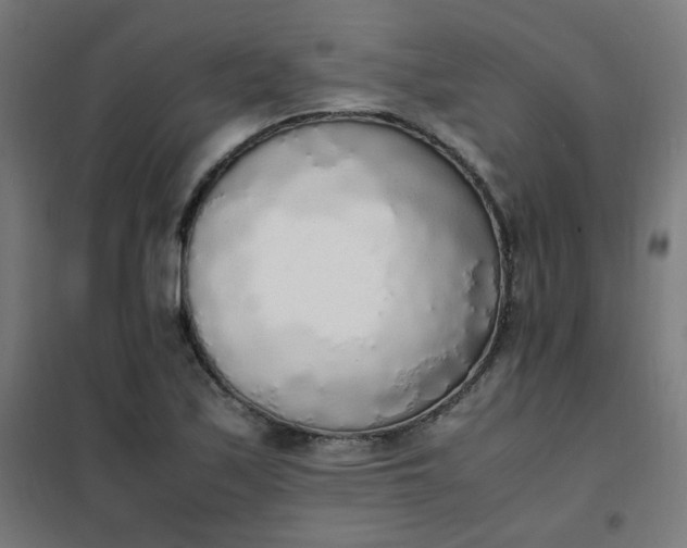 X0000101681171200807241338