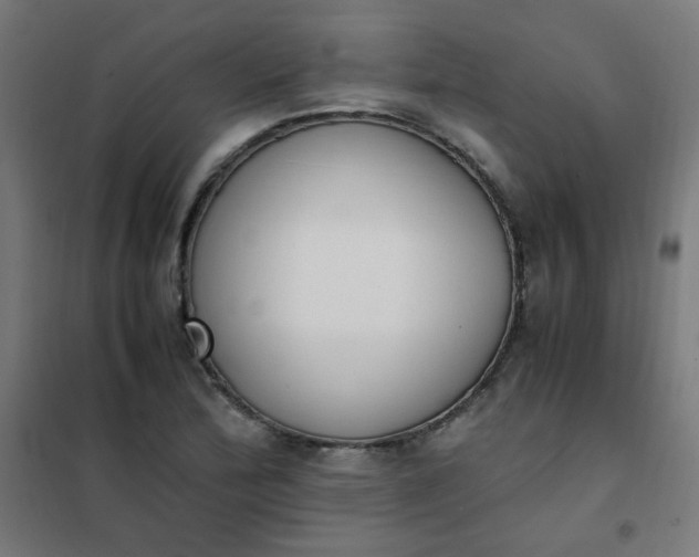 X0000101681172200807241338