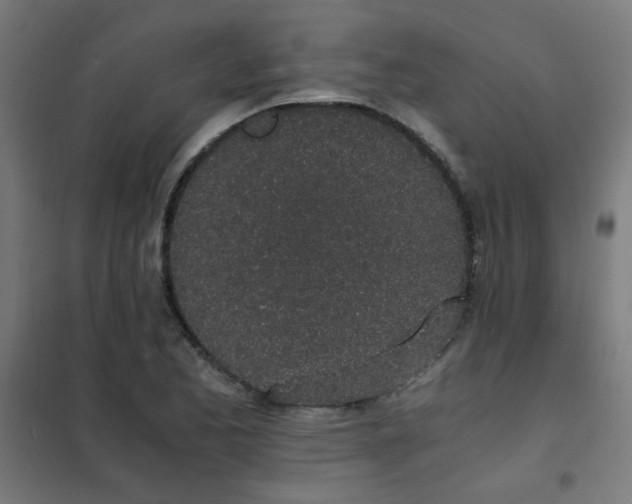 X0000101681173200807241338